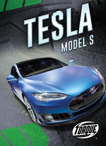 Tesla model - (car, crazy)